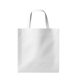 Unisex Blank T-Shirt